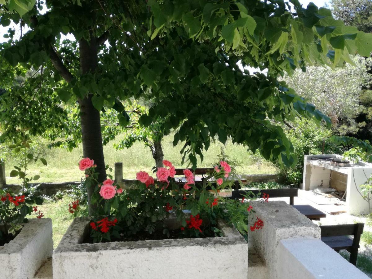 Rooms & Apartments Hegic Zadar Ngoại thất bức ảnh